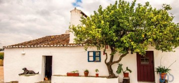 Quintas e casas rústicas 12 Quartos em Terrugem e Vila Boim