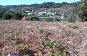 Terre à Santa Catarina