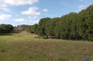 Terreno em Batalha