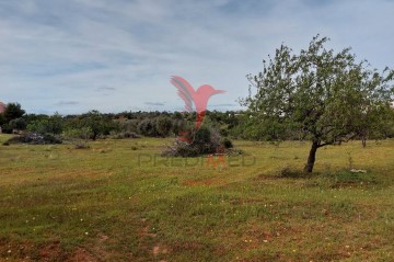 Terreno em Silves