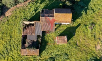 Maison 2 Chambres à São João da Ribeira e Ribeira de São João