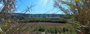 Terreno em Peniche