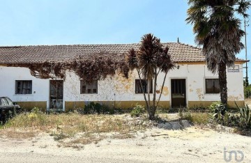 Maison 3 Chambres à Abitureiras