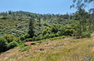 Terreno em Panque