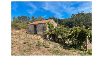 Quintas e casas rústicas em São João da Serra