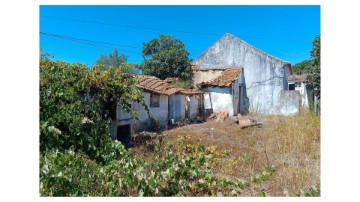 Maison 2 Chambres à São João da Ribeira e Ribeira de São João