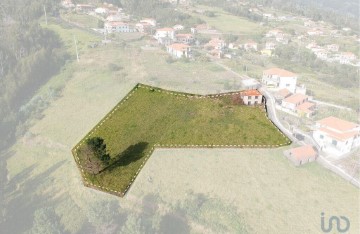 Terreno em Estreito da Calheta