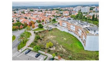 Terreno em Torres Novas (Santa Maria, Salvador e Santiago)