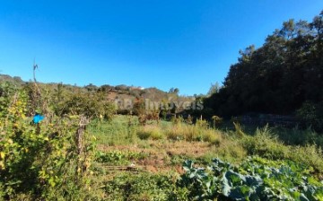 Terreno em Além da Ribeira e Pedreira