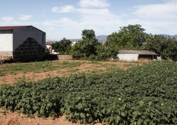 Terreno em Sabrosa