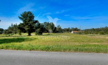 Terreno em Glória do Ribatejo e Granho