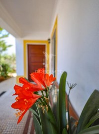 Casa o chalet 4 Habitaciones en Estremoz (Santa Maria e Santo André)