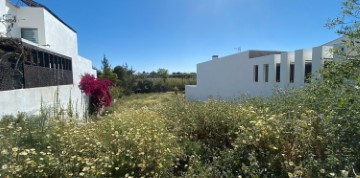 Terreno em Quelfes