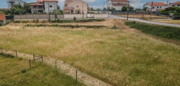 Terreno em Santa Comba Dão e Couto do Mosteiro