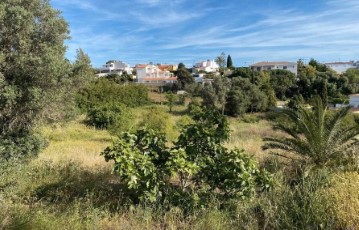 Terre à Lagoa e Carvoeiro