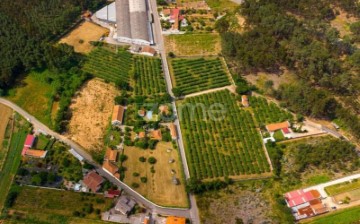 Quintas e casas rústicas 3 Quartos em Águeda e Borralha