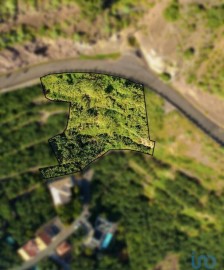 Terreno em Arco da Calheta