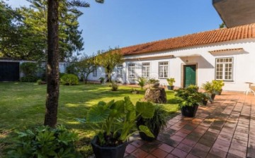 Maisons de campagne à Palme