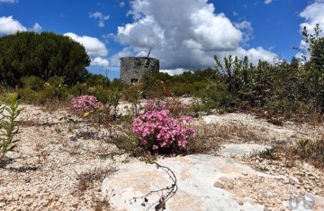 Terreno em Alcanede