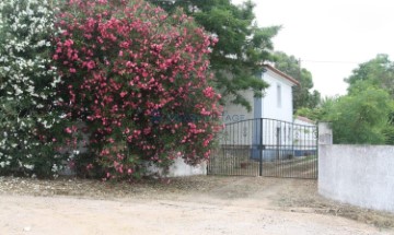 Quintas e casas rústicas 4 Quartos em Estremoz (Santa Maria e Santo André)