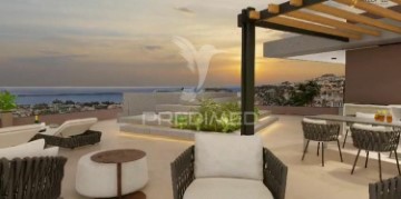 Apartment 3 Bedrooms in Funchal (Santa Luzia)