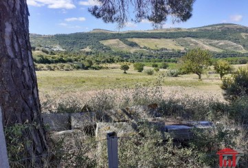 Terreno em Bucelas