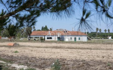 Quintas e casas rústicas em Canha