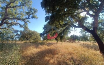 Quintas e casas rústicas em Lardosa