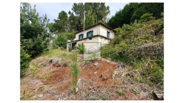 Maison 4 Chambres à Santo António da Serra