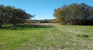 Terreno em Bombarral e Vale Covo