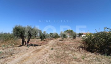 Quintas e casas rústicas 2 Quartos em Ciborro