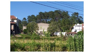 Terrenos en Colmeias e Memória