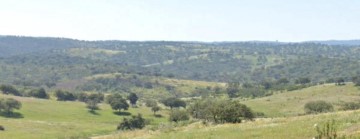 Maisons de campagne à Santo Agostinho e São João Baptista e Santo Amador