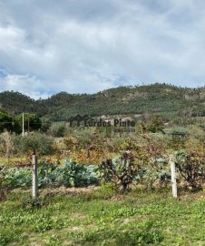 Quintas e casas rústicas em Lardosa