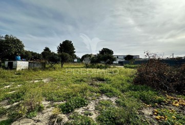 Terreno em Azeitão (São Lourenço e São Simão)