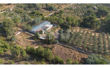 Maisons de campagne à Louriçal do Campo