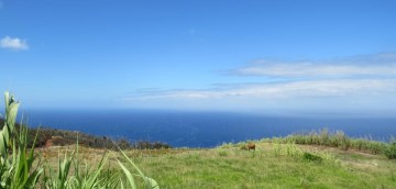 Moradia 4 Quartos em Ponta do Pargo