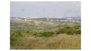 Terre à Igreja Nova e Cheleiros