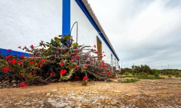 Terreno em Serpa (Salvador e Santa Maria)