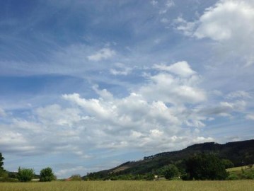 Terreno em Larrabetzu