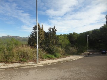 Terrenos en Mas Alba-Can Lloses