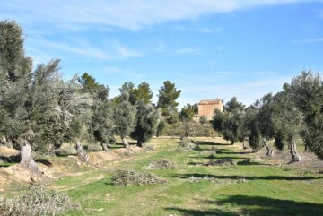 Casas rústicas en Mazaleón