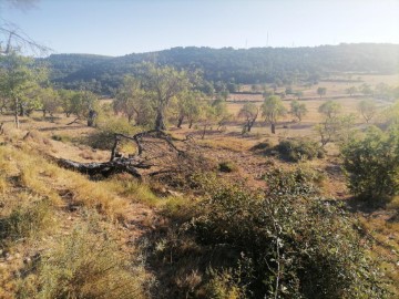 Terrenos en La Puebla de Castro