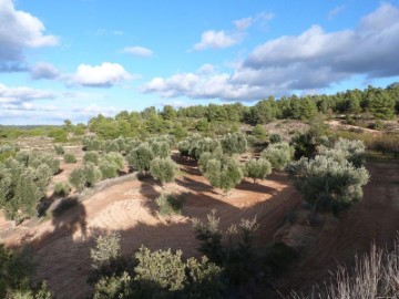 Casas rústicas en Valjunquera