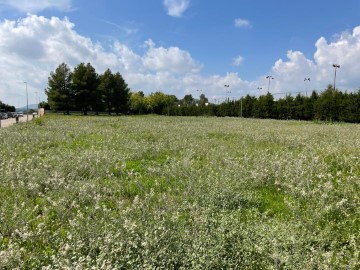 Terrenos en La Serra-Pla de Cavalls