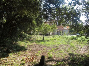 Terrenos en Vallgorguina