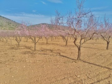 Land in Higueruelas