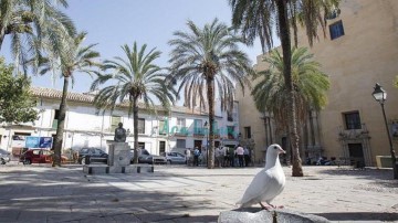 Casa o chalet  en Centro - Casco Histórico