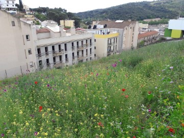 Terrenos en Arenys de Munt