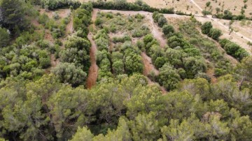 Terrenos en Sant Joan